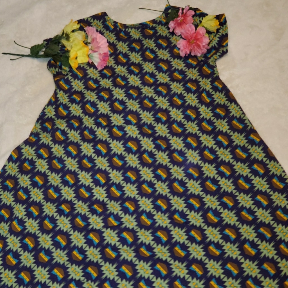 LuLaRoe Carly hi-low dress